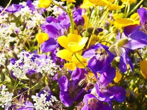 posy of flowers