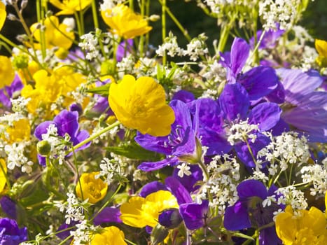 posy of flowers