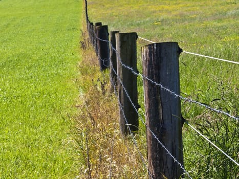 fence with barbwire