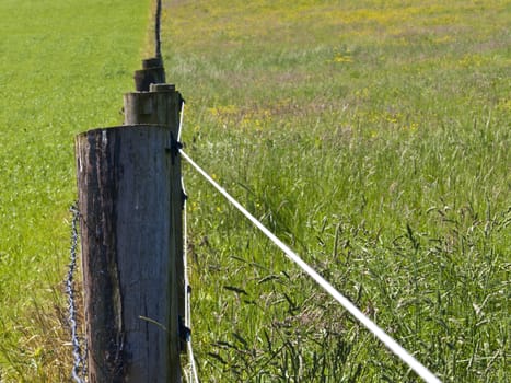 fence with barbwire