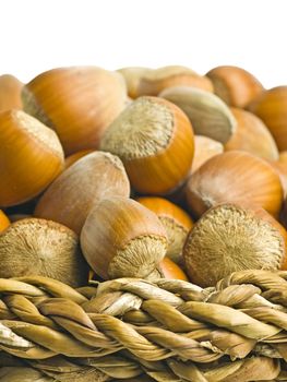 close-up of hazel nuts