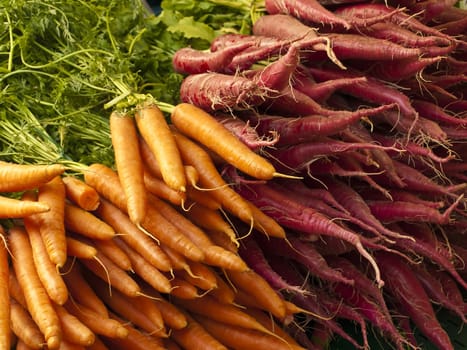 carrots and radish at a farmer market