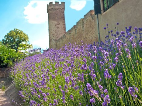 old medieval citywall in France ,Alsace