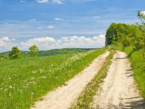 meadow with a blue sky and clouds