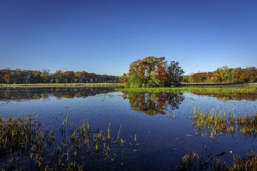 picture of foliage changing color in Michigan