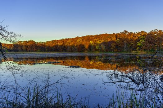 picture of foliage changing color in Michigan