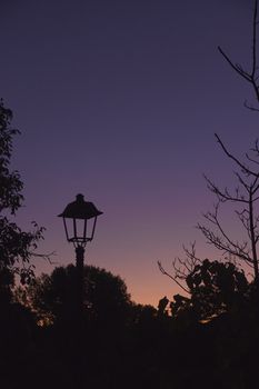 Street light, off at sunset, nature, magenta colors