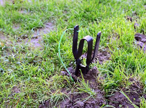 A laid trap into an earth ground for catching a rodent, mouse or water vole in the garden.