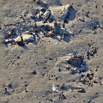 Photo realistic seamless texture pattern of sand at the beach at the baltic sea