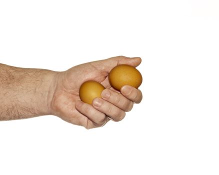 On a white background a man's hand holds two chicken eggs