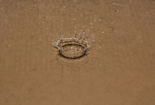 The drop fell on the surface of the water and formed a crown
