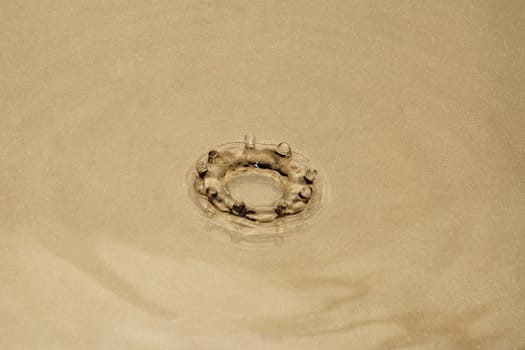 From the fallen drop on the water surface a diadem was formed