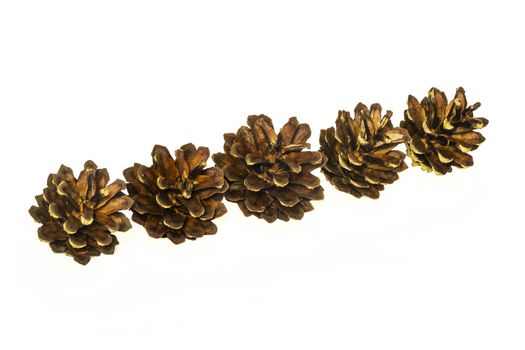 Several pine cones lie on a light surface