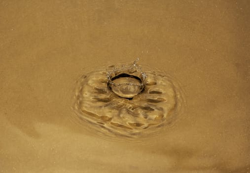 The crown and the diadem formed from drops falling on the surface of the water