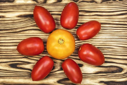 On a wooden surface there is a yellow tomato, and around it lie red tomatoes