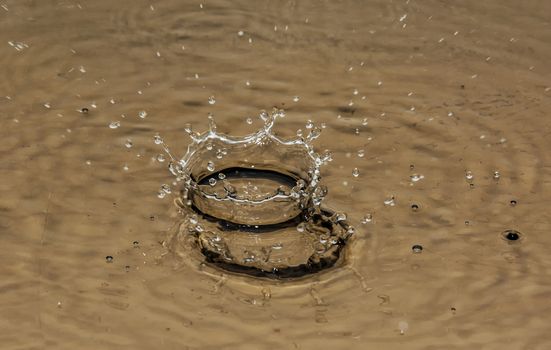 From falling drops on the surface of the water formed a large and small crown