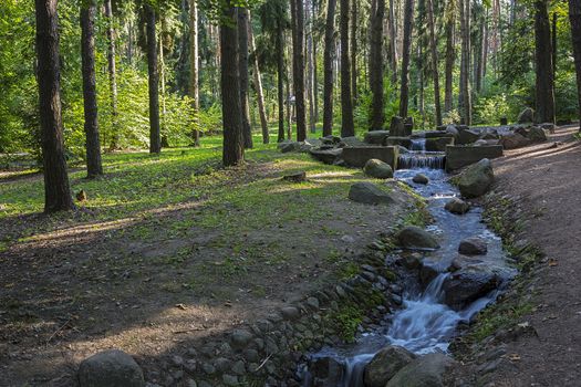 In the hollow in the forest among the stones flowing stream