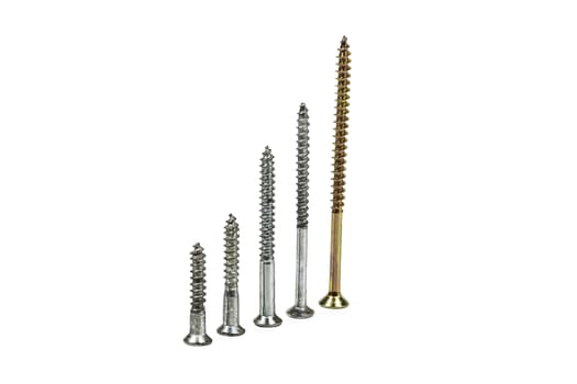On a light background there are five Five screws of different sizes