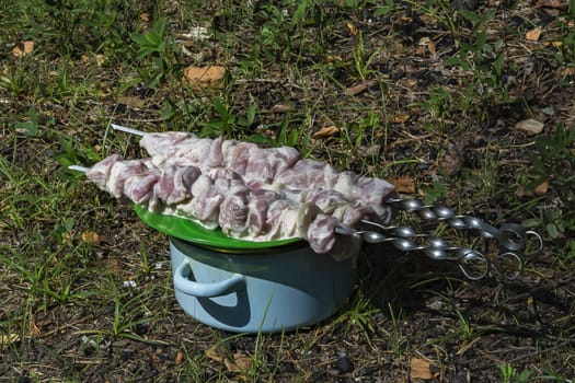 On a plate lie pieces of meat, strung on a skewer