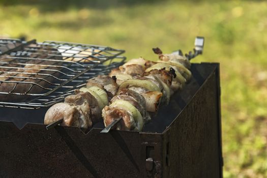 Preparation on fire of pieces of meat strung on a skewer