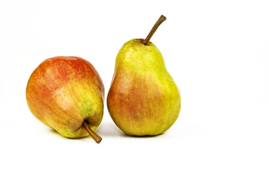 On a white background there are two ripe pears