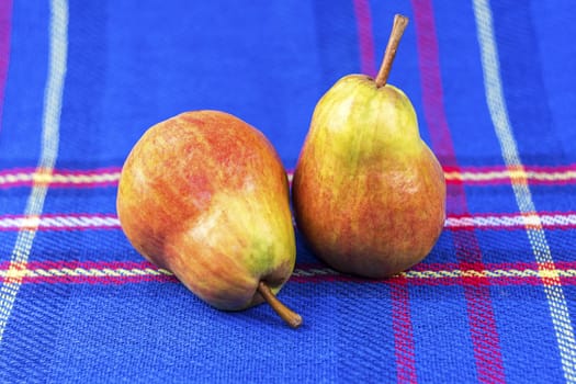 On a blue veil there are two large ripe pears