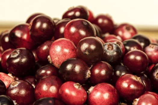 Red ripe cranberry berries are photographed close-up