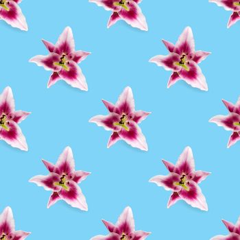 seamless pattern of pink Lily flower bloom. Pink lily flowers over blue background seamless texture. flat lay flower pattern