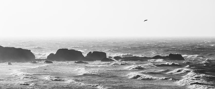 Panoramic view of rough sea in black and white, one seagull flying in the sky. Coastal landscape with rocks and ocean.