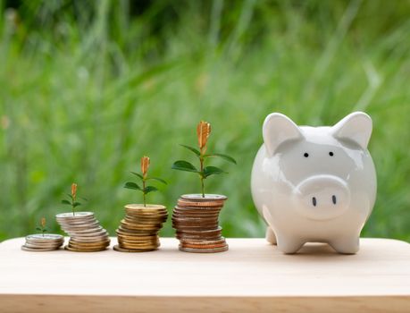 Piggy bank and money coin are placed on wooden table on natural background. With trees growing on a pile of money It represents the concept of financial growth. Business ideas and savings