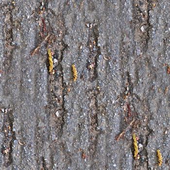 Detailed seamless texture of asphalt on a road in high resolution