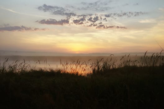 Dawn over the shore of the pond. Morning rays of the sun over the pond.