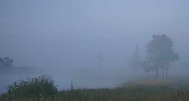 Smoke of mist over the pond. morning mist over the pond.