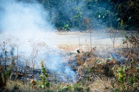 shot of crops thrash garbage being burnt on the side of a road and causing pollution with smoke and dust in the air of delhi jaipur and more reducing the air quality. Shows the daily activities that are causing delhi NCR to have it's worst crisis ever in terms of air quality in winters