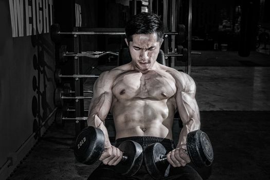 Strong fitness man doing arm workout with dumbbells in the gym