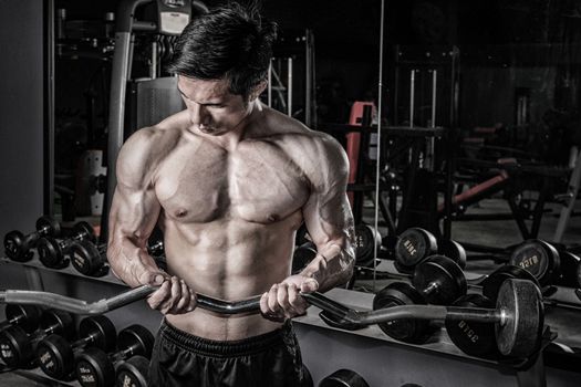 Strong fitness man doing arm workout with barbells in the gym