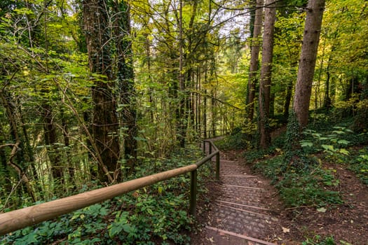 Fantastic autumn hike along the Aachtobel to the Hohenbodman observation tower near Lake Constance