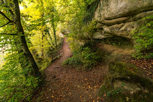 Fantastic autumn hike along the Aachtobel to the Hohenbodman observation tower near Lake Constance