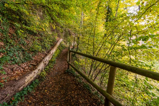 Fantastic autumn hike along the Aachtobel to the Hohenbodman observation tower near Lake Constance