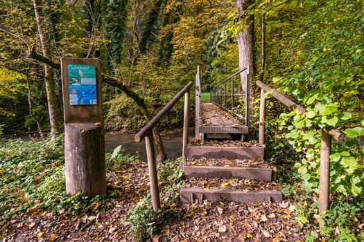 Fantastic autumn hike along the Aachtobel to the Hohenbodman observation tower near Lake Constance