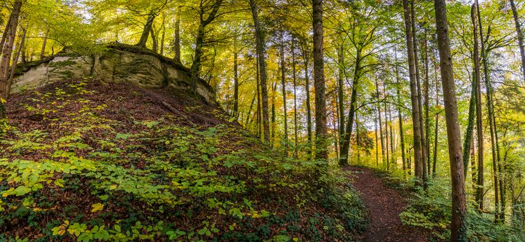 Fantastic autumn hike along the Aachtobel to the Hohenbodman observation tower near Lake Constance