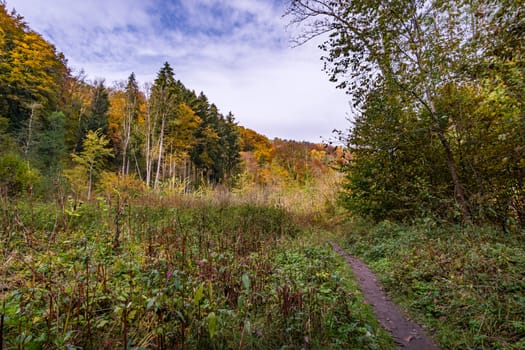 Fantastic autumn hike along the Aachtobel to the Hohenbodman observation tower near Lake Constance