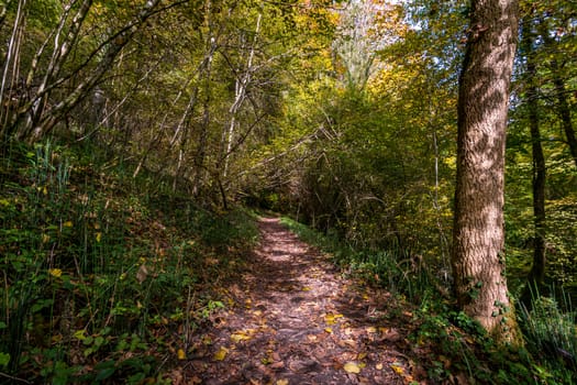 Fantastic autumn hike along the Aachtobel to the Hohenbodman observation tower near Lake Constance