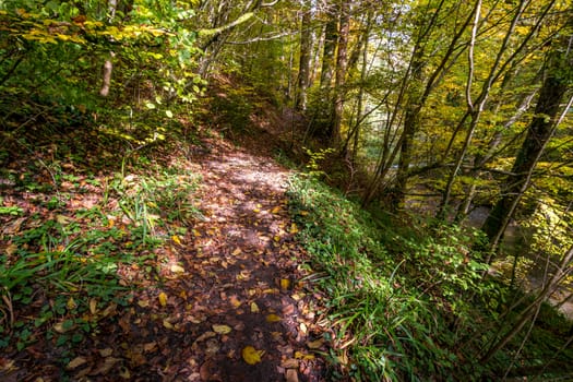 Fantastic autumn hike along the Aachtobel to the Hohenbodman observation tower near Lake Constance