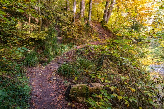 Fantastic autumn hike along the Aachtobel to the Hohenbodman observation tower near Lake Constance