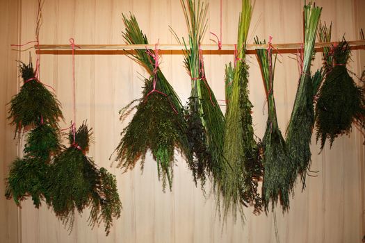 bunches of different herbs are dried on a wooden wall background.
