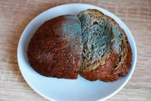 moldy rye bread on a white plate