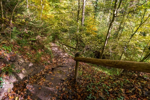 Fantastic autumn hike along the Aachtobel to the Hohenbodman observation tower near Lake Constance