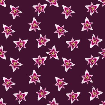 seamless pattern of pink Lily flower bloom. Pink lily flowers over pink background seamless texture. flat lay flower pattern