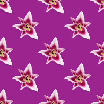 seamless pattern of pink Lily flower bloom. Pink lily flowers over pink background seamless texture. flat lay flower pattern